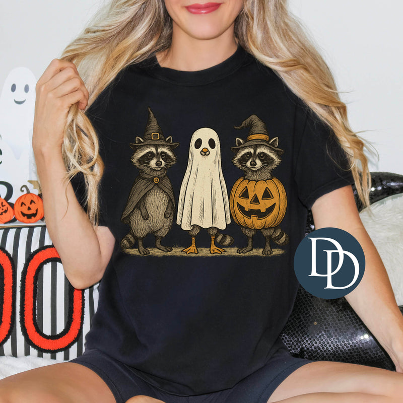 Halloween Raccoon Trio *DTF Transfer*