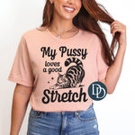 Pussy Loves a Good Stretch *DTF Transfer*