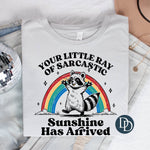 Your Little Ray Of Sarcastic Sunshine *DTF Transfer*